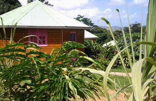 Le Robert House | 5 ecological bungalows/1 Access disabled people/2 bedrooms/wireless/pool