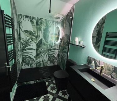 Yzeure Apartment | 5 min Moulins Duplex -Clim -wifi -borne d arcade -garage 25 min LE PAL