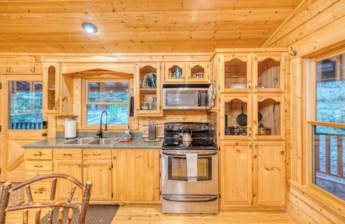 Blue Ridge House | 5 mins to DWTN & Lake. Ping Pong, Arcade, Foosball. Best Location in Blue Ridge