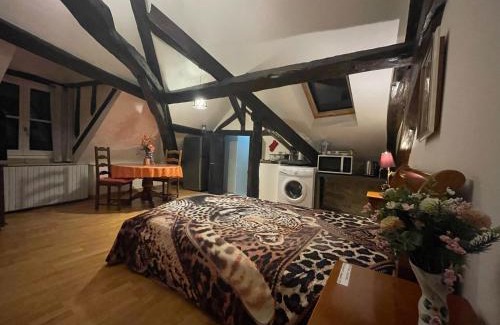 Hargeville Apartment | 5 Mins to ZOOTHOIRY STUDIO LUMINEUX