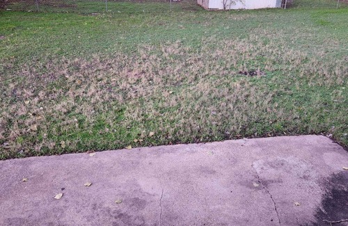 Mineral Wells House | 5 Minutes from Downtown! Cheerful Four Bedroom Home