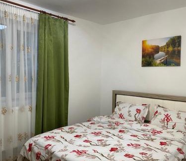 Cavnic Apartment | 5 Residence Apartment