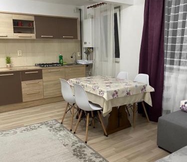 Cavnic Apartment | 5 Residence Apartment