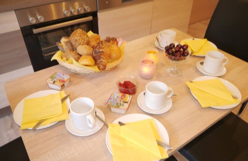 Bad Brambach House | 5-star family holiday apartment in the Siebert Bad Brambach guest house