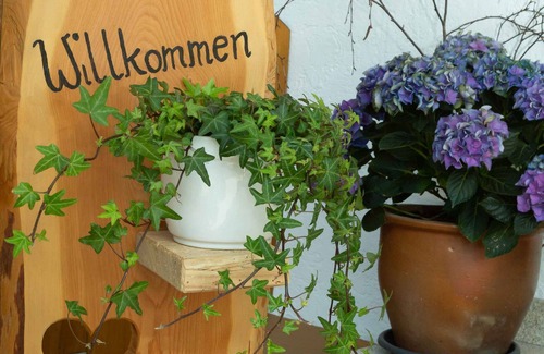 Bernau am Chiemsee Apartment | 5-star vacation apartment with balcony and view of the Chiemgau mountains