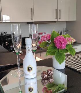 Mainz-Bingen Apartment | 5 Sterne Ferienwohnung - Am Rheinberg -
