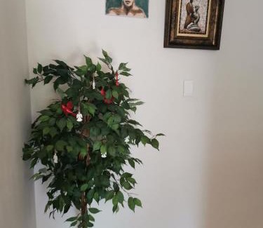 Greater Johannesburg Metropolitan Area Apartment | 50 Galena Affordable Luxury