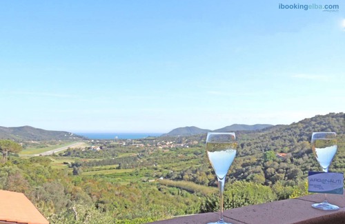 Vigne Giunche Apartment | 50 m² Apartment ∙ 1 bedroom ∙ 99 guests