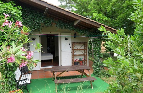 Lacanau-Ocean Apartment | 50 m² Apartment ∙ 1 bedroom ∙ 4 guests