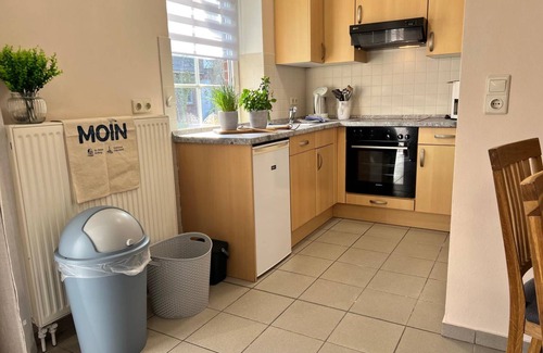 Vollerwiek Apartment | 50 m² Apartment ∙ 2 bedrooms ∙ 4 guests