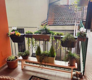 Tollegno Bed & Breakfast | 50 m² Bed and breakfast ∙ 4 guests