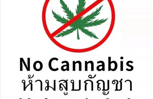 Pattaya Bay Apartment | 502 Edge芭提雅市中心25楼高层海景服务公寓,芭提雅海湾景观,近沙滩,步行街,购物中心