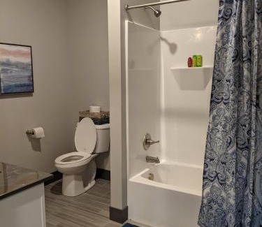 Champaign Apartment | 520 Neil Heart of Downtown Champaign