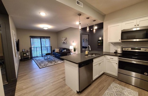 Champaign Apartment | 520 Neil Luxury 2 Bedroom