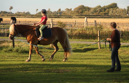 Grothusenkoog Apartment | 56 m² Apartment ∙ 2 bedrooms ∙ 2 guests