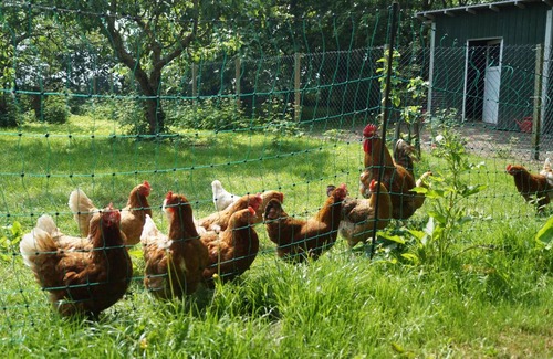 Grothusenkoog Apartment | 56 m² Apartment ∙ 2 bedrooms ∙ 2 guests