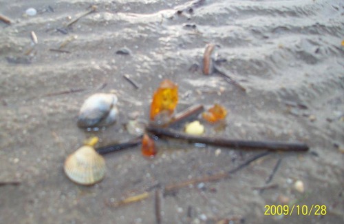 Vollerwiek Apartment | 59 m² Apartment ∙ 1 bedroom ∙ 2 guests