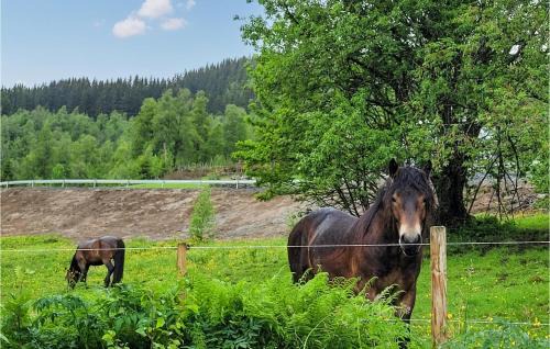 Myrkdalen House | 6 Bedroom Beautiful Home In Vossestrand