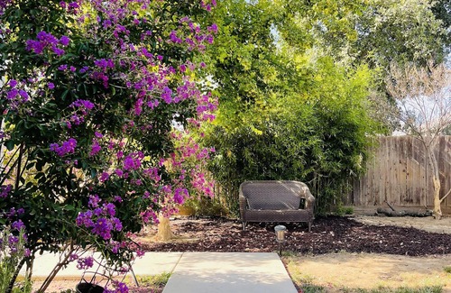 Visalia House | 6 bedroom home with heated Pool/Spa near Sequoia National Park