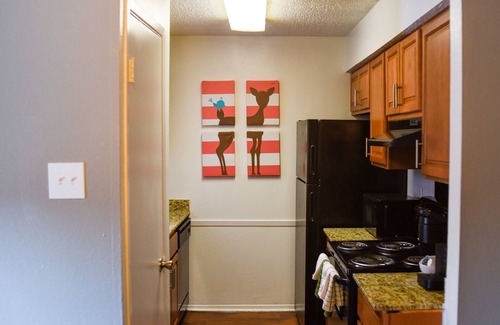 Arlington Apartment | 6 Mins Away Cowboy/Ranger Stadium Arlington 1bd