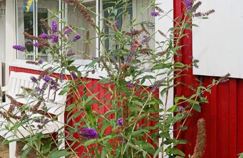Mellbystrand House | 6 person holiday home in MELLBYSTRAND-By Traum