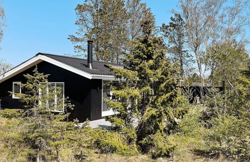 Aalbaek House | 6 person holiday home in Ålbæk