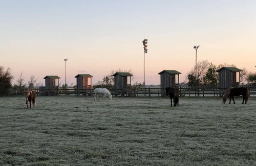 Grothusenkoog Apartment | 60 m² Apartment ∙ 1 bedroom ∙ 2 guests