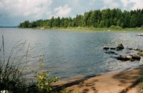 Juuka House | 60 m² Apartment ∙ 1 bedroom ∙ 6 guests