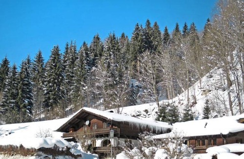 Viehhofen Apartment | 60 m² Apartment ∙ 2 bedrooms ∙ 6 guests