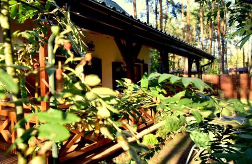 Susiec Cabin | 66 Szyszek