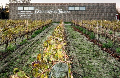 Argeles-sur-Mer House | 66A5 - Massane, cottage au coeur des vignes - jacuzzi - jardin