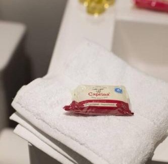 Little Italy Apartment | 6768 - 102 Cozy and Fresh Mini Studio with kitchen by Denstays
