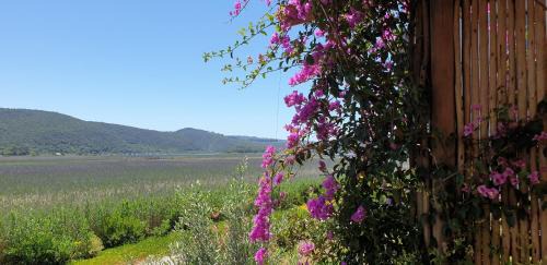 Wilderness Apartment | 677 on Lake