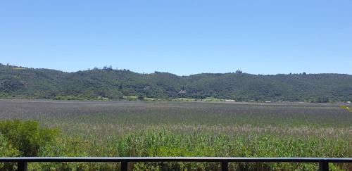 Wilderness Apartment | 677 on Lake