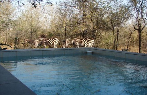 Marloth Park Cabin | 677Hornbill