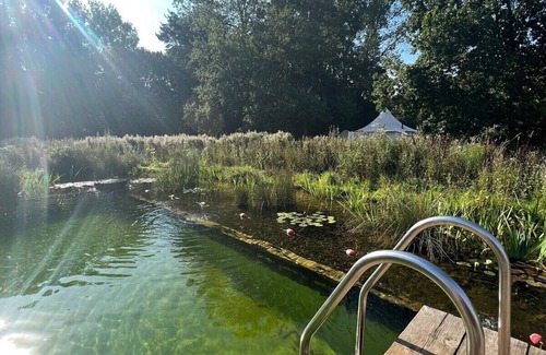 Haveringland Apartment | 6m Luxury Lotus Belle Tent at Moat Island Glamping