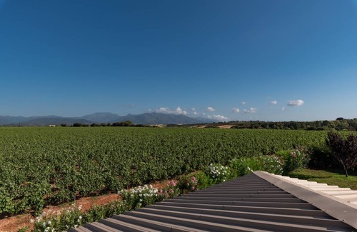 Tallone Apartment | 70 m² Apartment ∙ 2 bedrooms ∙ 6 guests