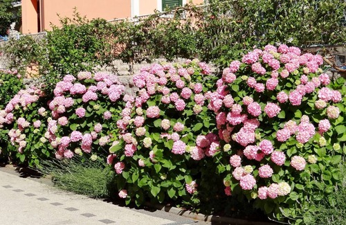 Malinska-Dubasnica Apartment | 70 m² Apartment ∙ 2 bedrooms ∙ 6 guests