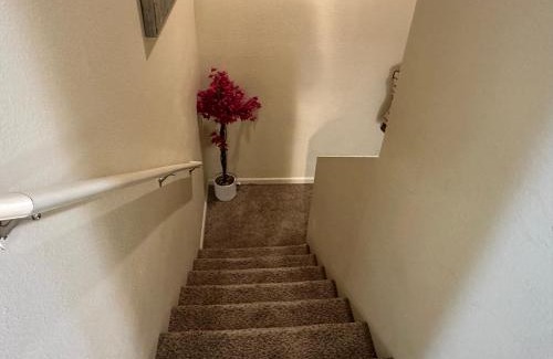 Williston House | 713 Section 1 luxury townhouse