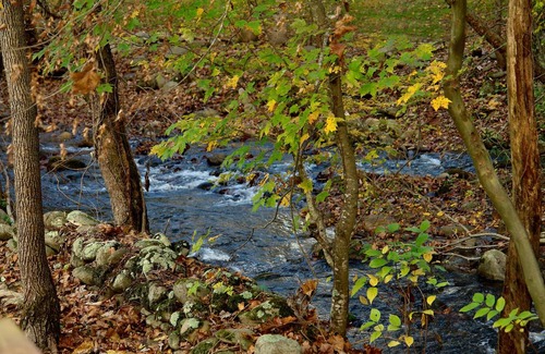 Cosby Cabin | 74 m² Cabin ∙ 2 bedrooms ∙ 6 guests