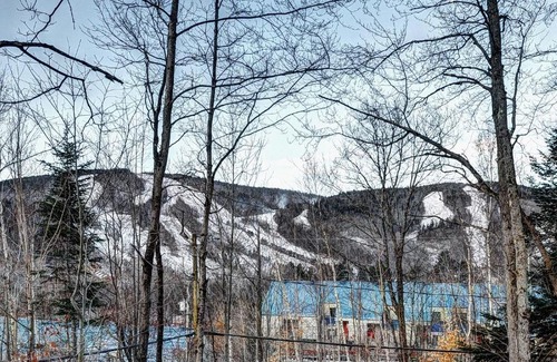 Stoneham Ski Chalet | 76.5 Chemin de la Perdrix