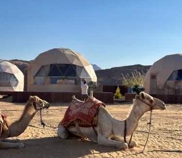 Wadi Rum Hotel | 7star camp