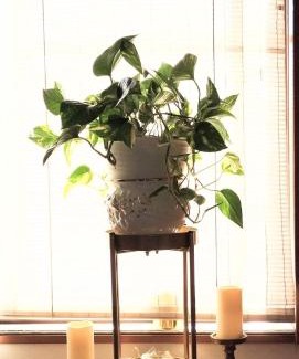 Hirakata House | 8-17 Nomura Motomachi - House/Vacation STAY 1894