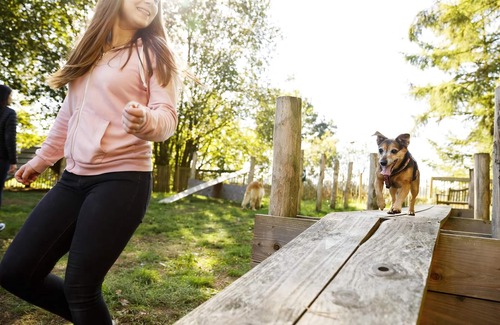 Dwergte House | 8-person dog bungalow in the holiday park Landal Dwergter Sand
