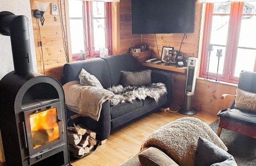 Aseral House | 8 person holiday home in ÅSERAL