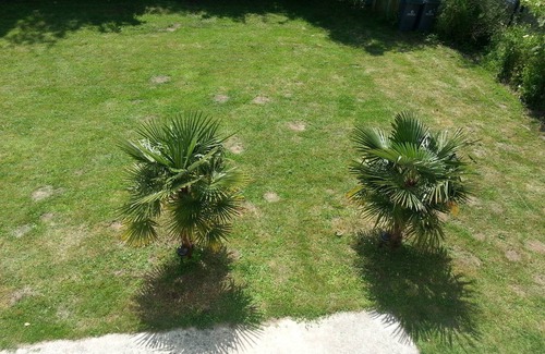 Hermanville-sur-Mer Villa | 80 m² 100 m from the beach