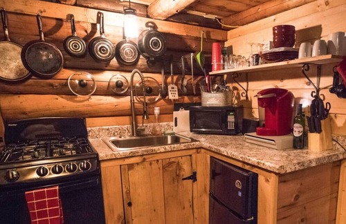Jackson Cabin | 85 Dundee · Cozy Log Cabin/Private Hot Tub/Brook/Fireplace