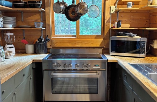 Leavenworth Cabin | 88° Heated Pool, Hot Tub, Fenced Acre for Dogs, Views, EV Charger