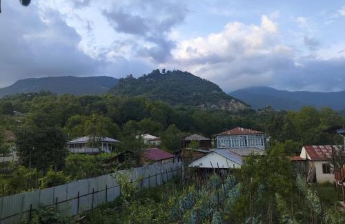 Tsageri Apartment | 9 Plus - Orbeli