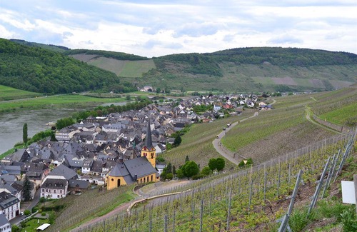 Zeltingen-Rachtig Apartment | 90 m² Apartment ∙ 2 bedrooms ∙ 4 guests